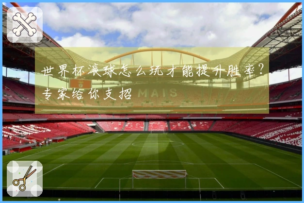 世界杯滚球怎么玩才能提升胜率？专家给你支招