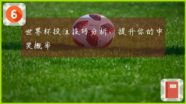 世界杯投注技巧分析，提升你的中奖概率