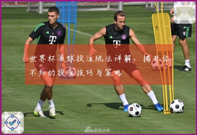 世界杯滚球投注玩法详解，揭开你不知的投注技巧与策略
