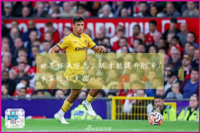 世界杯滚球怎么玩才能提升胜率？专家给你支招